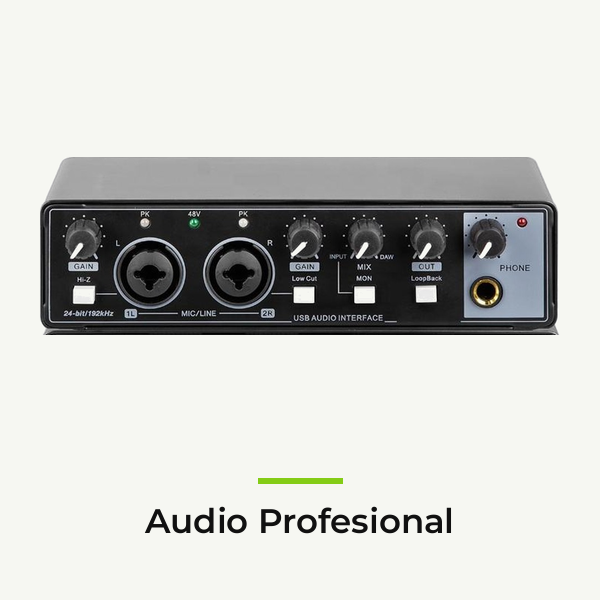 Audio Profesional